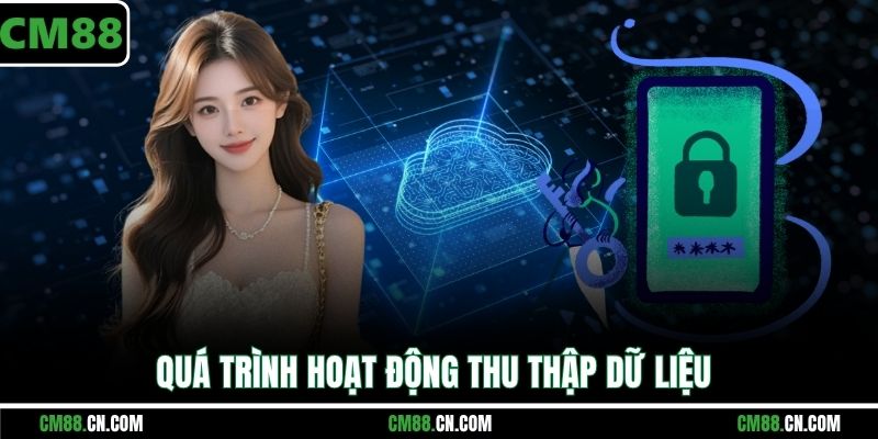 Quá trình hoạt động thu thập dữ liệu